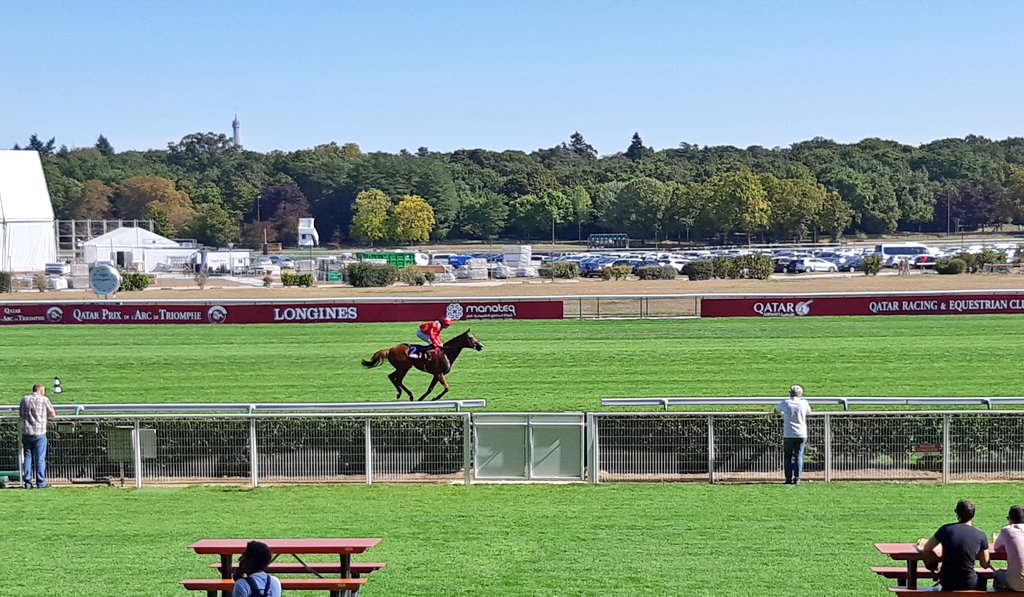 Clemty 🏇 tweet media