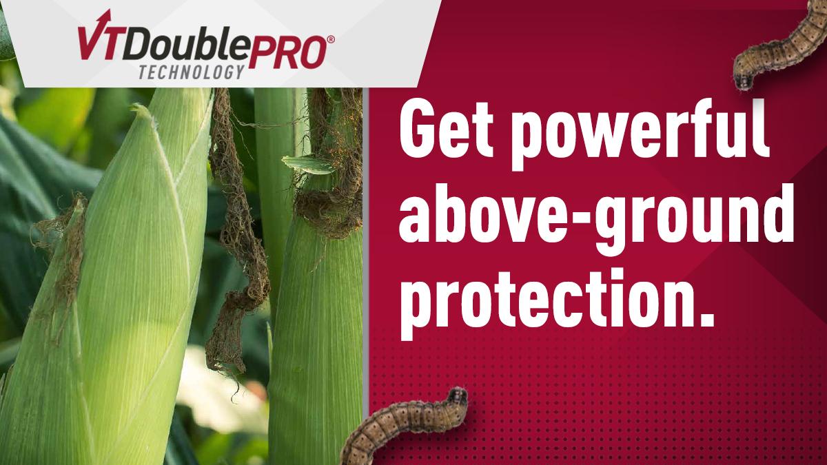 BayerTraits's tweet photo. What are two things farmers have to worry about? Pests and weeds. #VT2PRO has you covered. Retweet to help a farmer in need! https://t.co/0oWiQaCWIp https://t.co/EG8UytLsne
