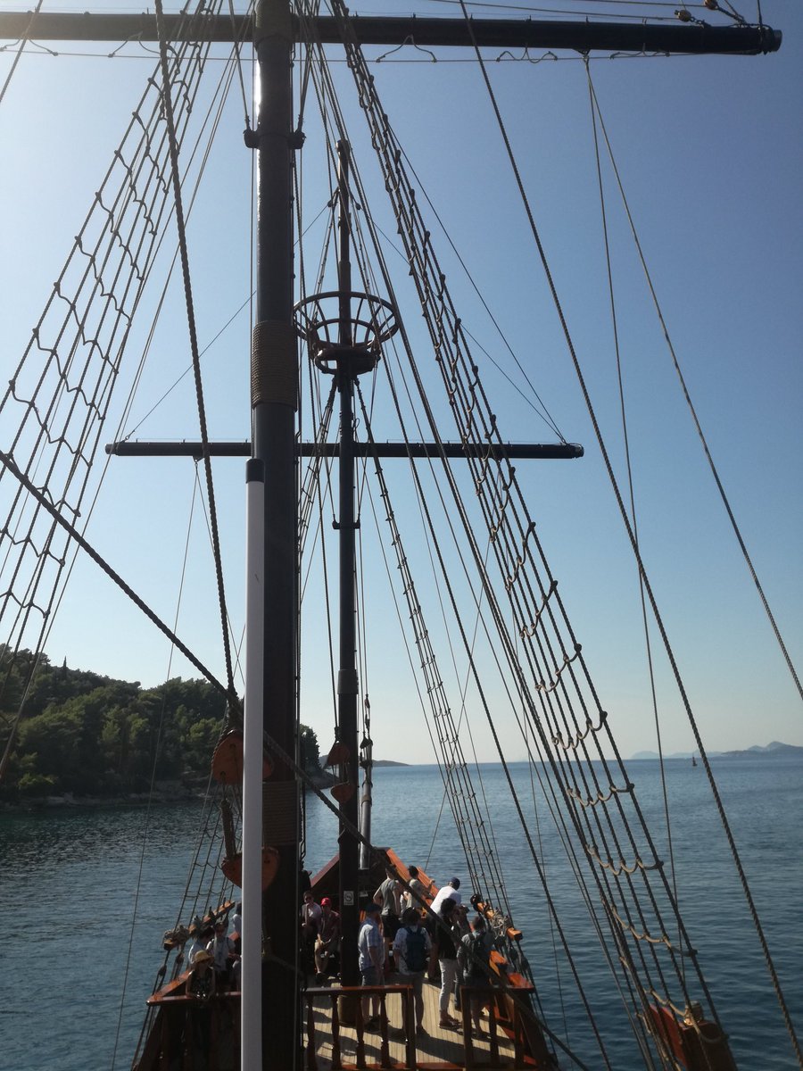 VeraKleene's tweet image. We&apos;re on a boat. #emboubiquitin #conferenceperks