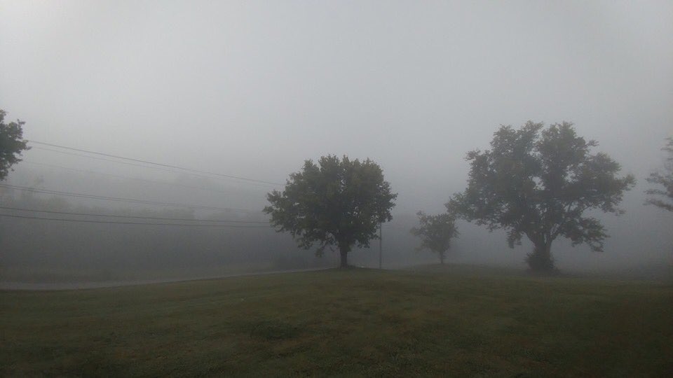 WBIRWeather's tweet photo. We had a foggy start in Walland this morning but with all the sunshine, any lingering fog should dissipate shortly!
📷 Denise Reagan Jarboe https://t.co/nmBaRnvHsc