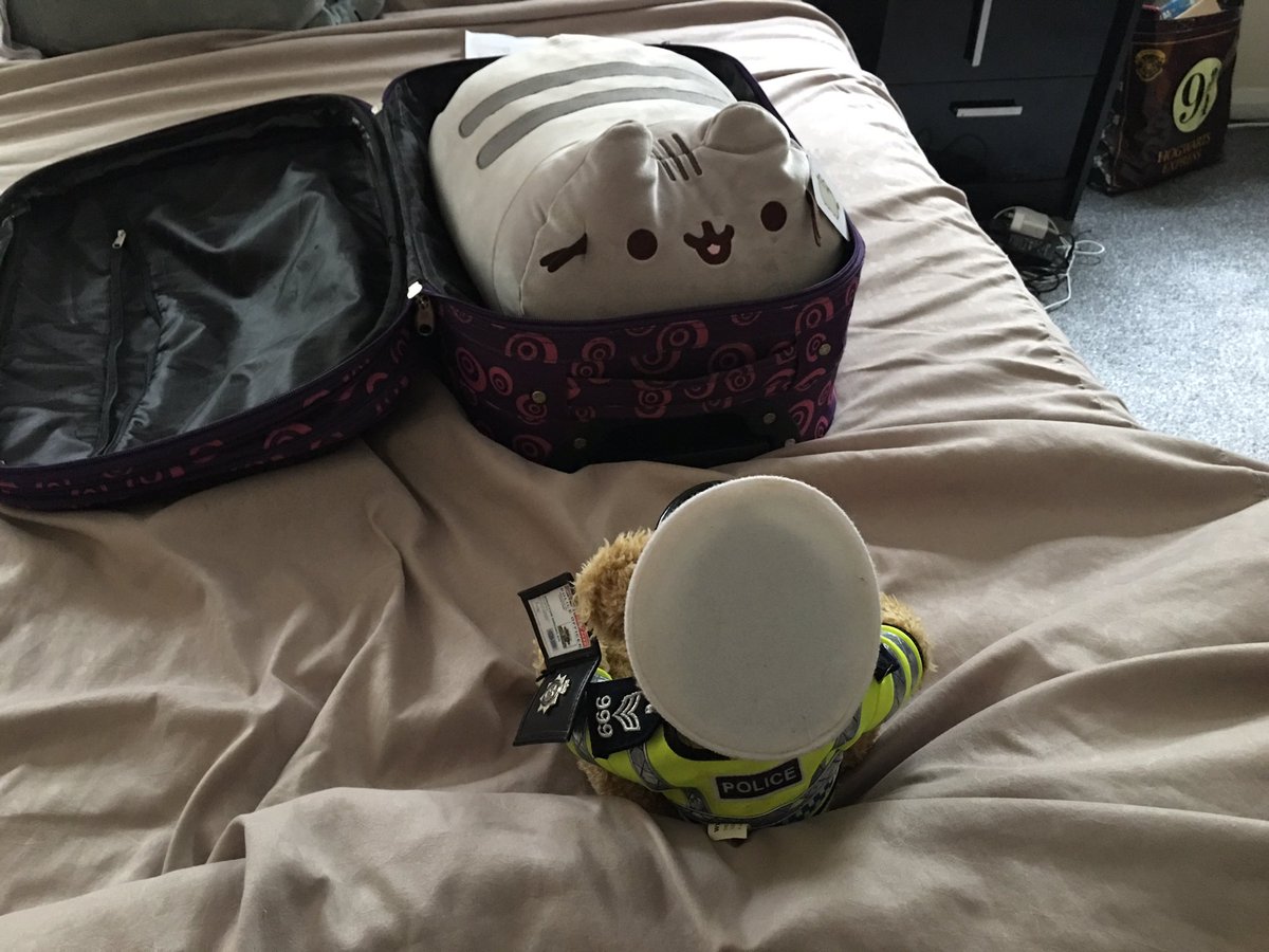 sgt_pcbears's tweet photo. Sgt Growler: Help this pusheen cat has smuggled their way into my owner’s suitcase to go and join her on her 5 day break away. #police #policebear #pusheen https://t.co/LdvtDGdqt1