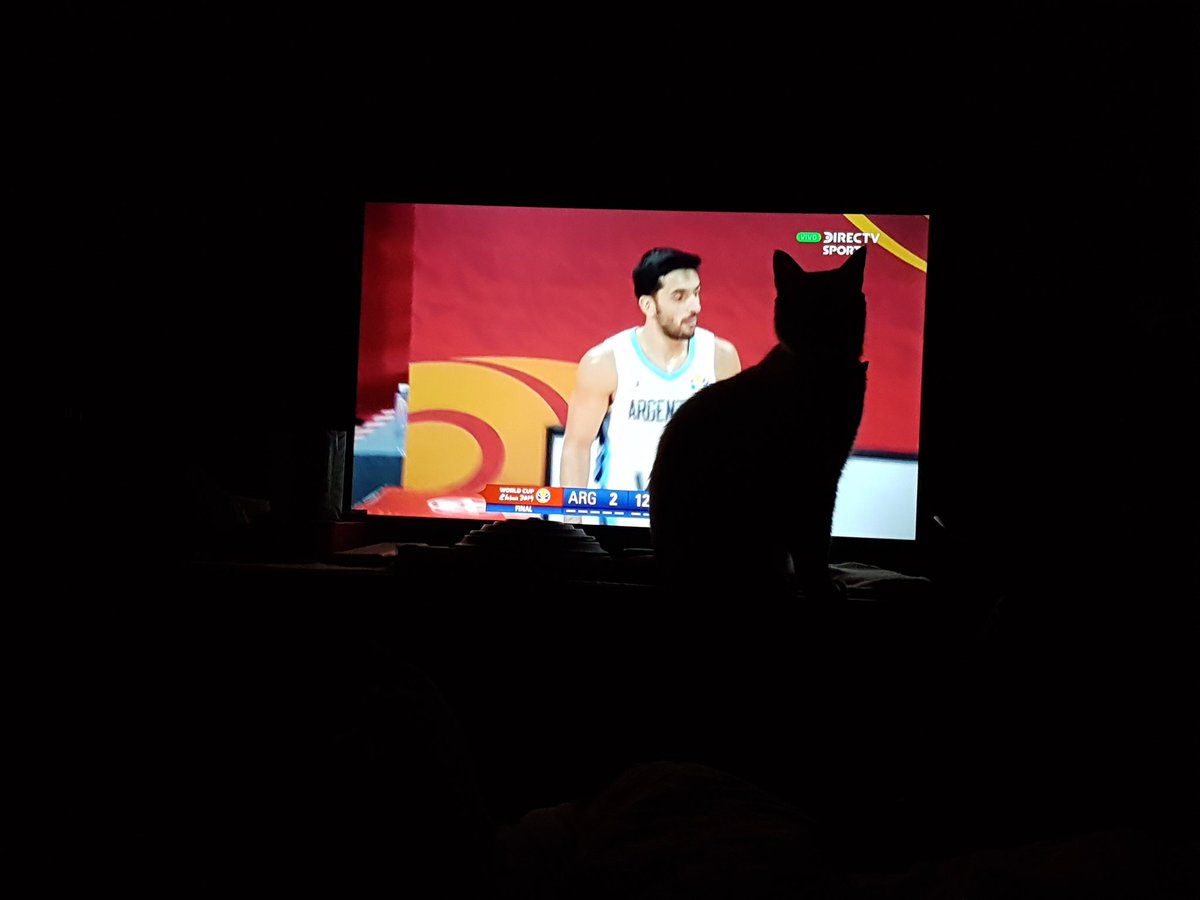 Maguy_84's tweet photo. Me Pareció ver un lindo gatito. 🐱 #Monis. https://t.co/7AmMOHtypl