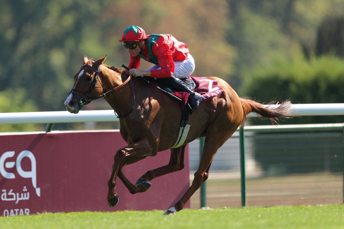 競馬ラボ בטוויטר 先程行われた仏g2 フォワ賞の写真が届きました 勝ったのは地元 フランスのヴァルトガイスト フォワ賞 は連覇 昨年4着だった凱旋門賞制覇に挑むこととなります 競馬 Keiba フォワ賞