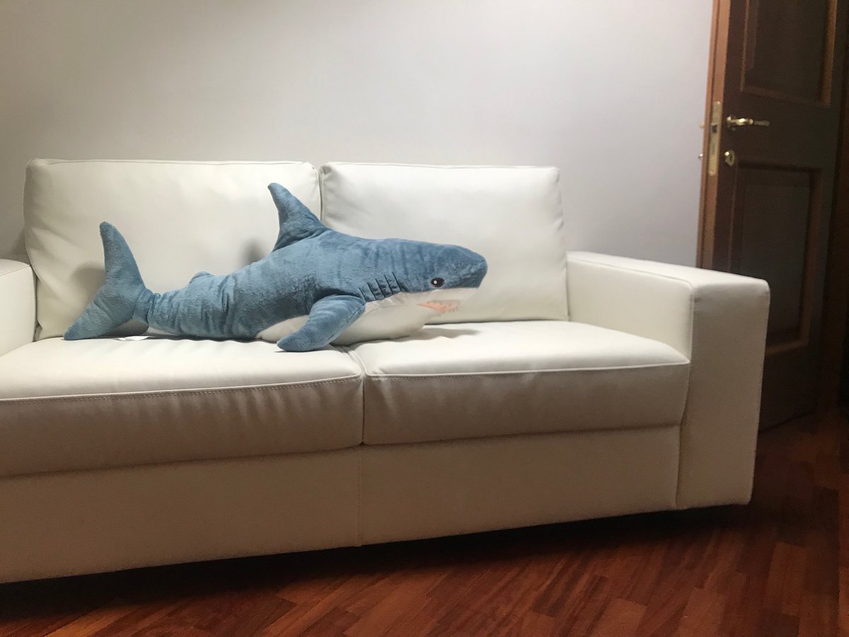 baby shark couch