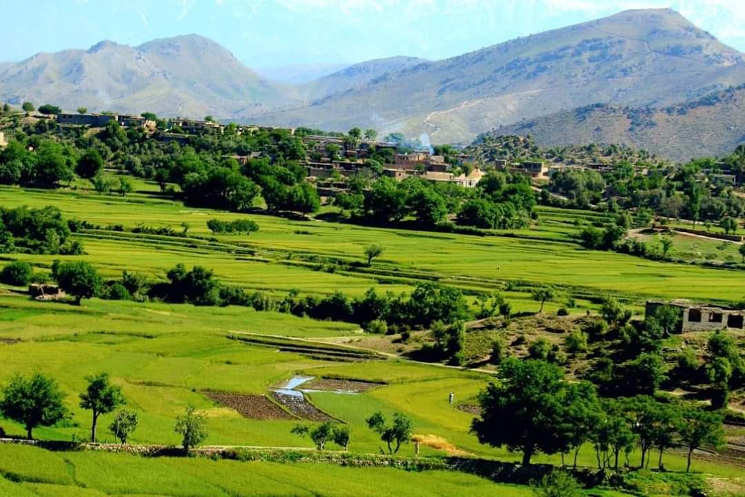 NaeenullahK's tweet photo. د خوست ولایت ځاځی میدان دی سولی ولسوالی ښکلی سیمه https://t.co/yWIzBQBYyh