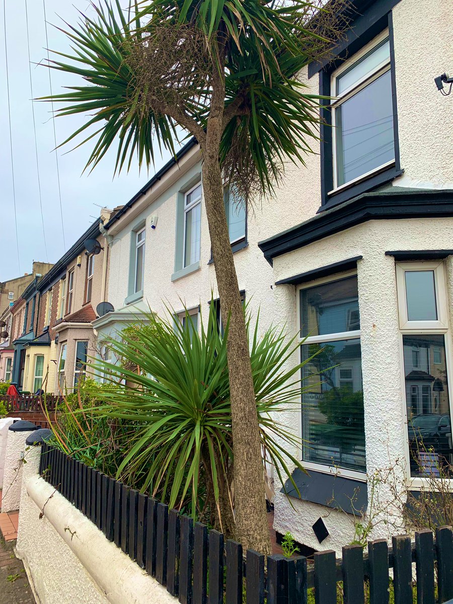 danieldaviesRPL's tweet image. On a walk around our neighbourhood and it’s great to see all the houses getting painted in different colours #VictoriaQuarter #NewBrighton the #RockpointCrew will be painting all the lampposts soon! @UKHofficial @Instoflicensing @NewBrightonNIBS @imaginewirral @WirralCouncil