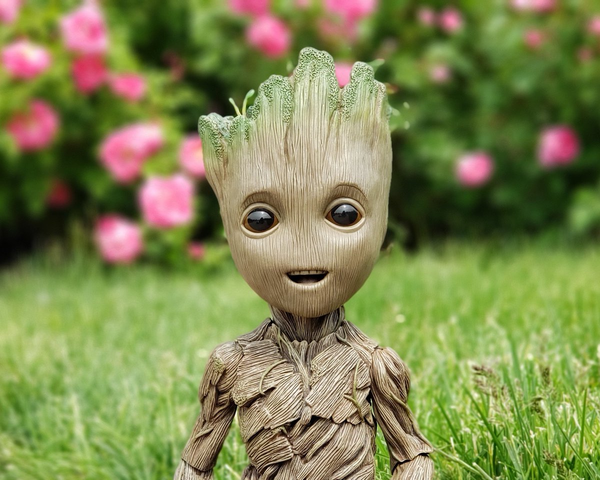 MyBabyGroot's tweet photo. I am Groot.
#SmileAtEveryone
#TheyUsuallySmileBack
#groot #babygroot #iamgroot #wearegroot #twig #guardians #guardiansofthegalaxy #guardiansofthegalaxyvol2 #avengersinfinitywar #endgame #avengersendgame #avengers #gotg #gotg2 #marvel #disney #stickpic #instagroot #wearegroot🌱 https://t.co/LcsDQ5xw7x