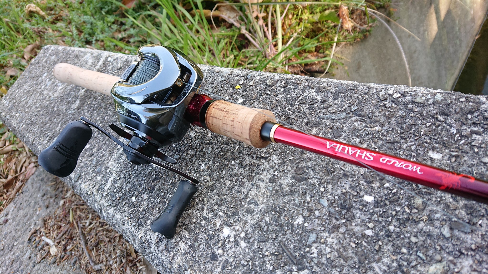 ワールドシャウラ 1652R-3。 | www.protegervacinas.com.br