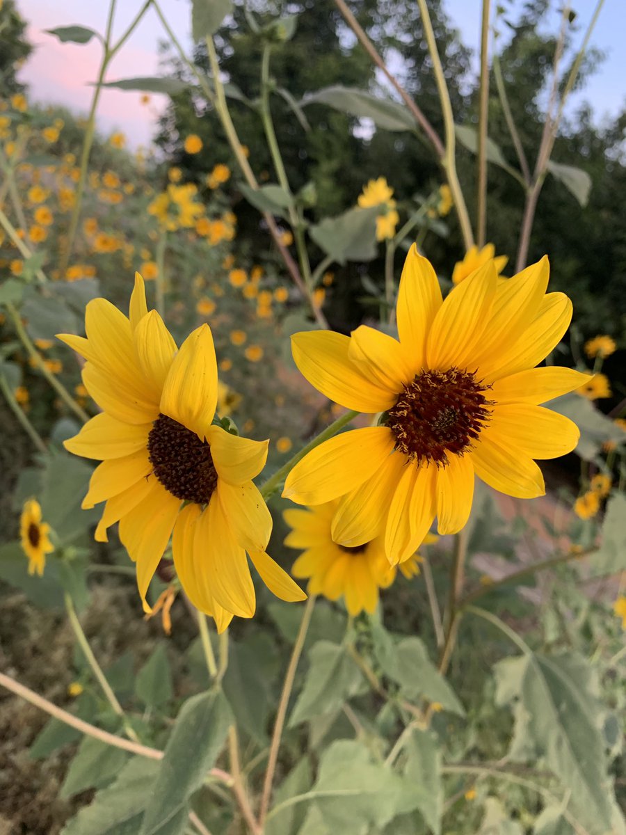 1bctr's tweet image. Happy Resurrection Sunday....