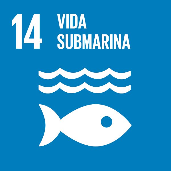bioideaspanama's tweet photo. Septiembre mes de los océanos: Océanos sin plástico... un futuro mejor! #bioideas #sinplastico #ODS14 #recursosmarinos https://t.co/t8zRz5fVwl