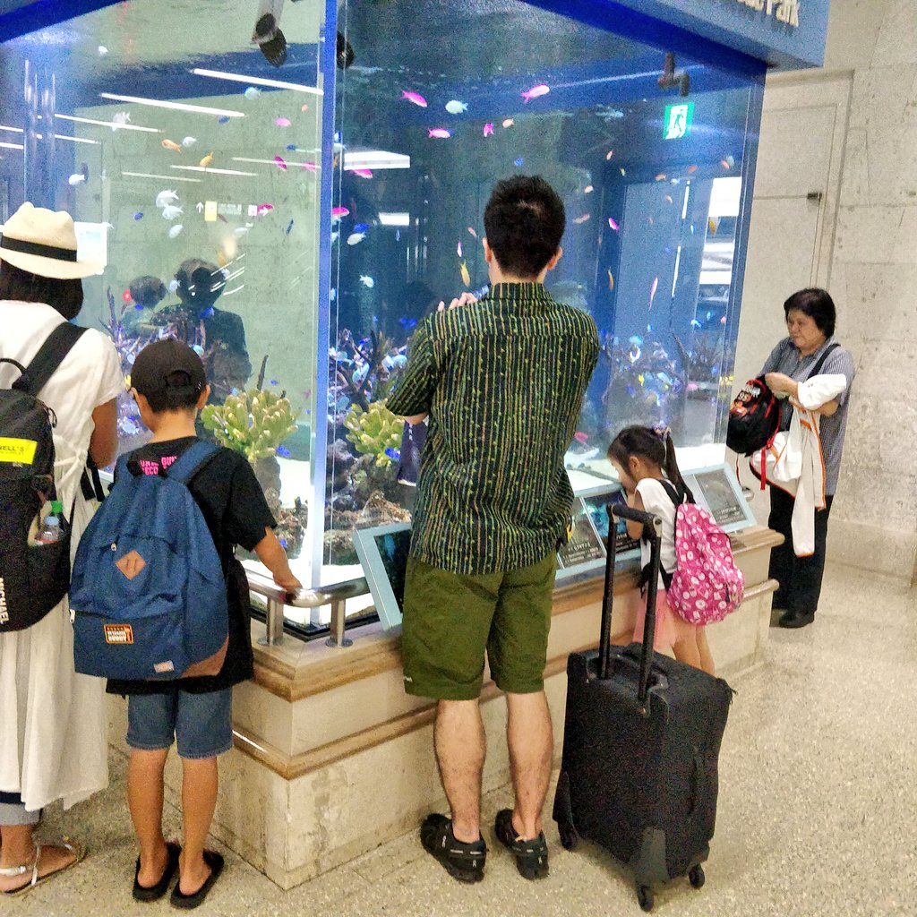 まなふぃ Twitterissa ホテルについているジムで懸垂する旦那さん 筋トレは懸垂とスクワットが好きと聞いていたけれど なかなか懸垂は 家でできないのでとても楽しんでいました あと 那覇空港の水槽で嬉々として熱帯魚撮ってる浮かれぽんちぶりがとっても可愛かっ