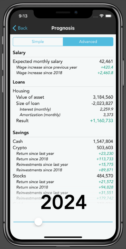 Get a detailed view of your income, loans, stocks and other assets in the prognosis.