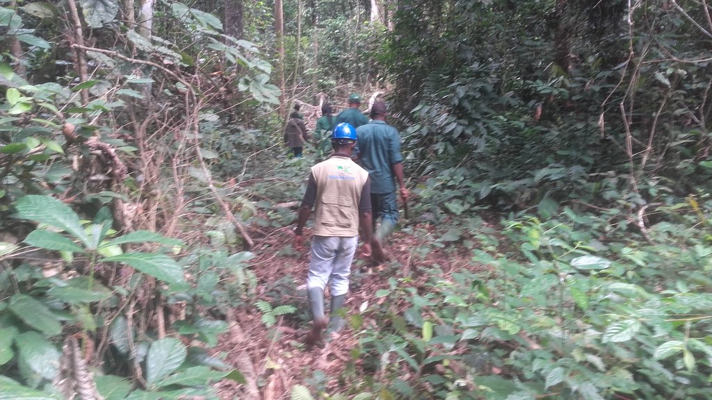 CamerounPapel's tweet image. Mission d'investigation conjointe   #PAPEL. Cameroun #Minfof dans l'arrondissement de Somalomo région de l'EST.