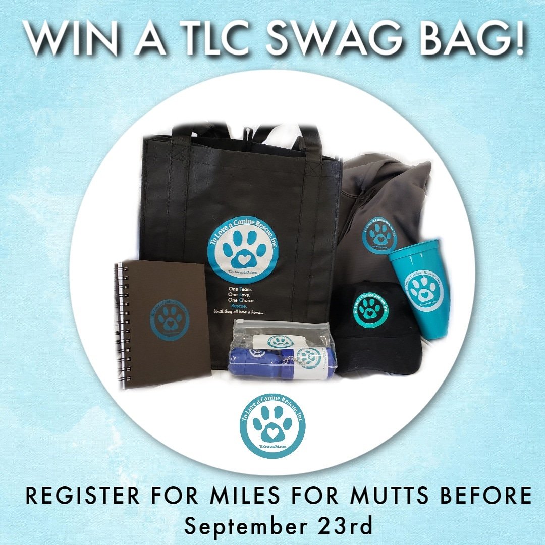 WANT TO WIN A #TLC SWAG BAG!?
Register for #MilesForMutts during early registration &amp; be entered to win TLC gear! Ends Sep. 22nd at 11:59pm.
milesformutts.itsyourrace.com/register/

#philly5k #runphilly #wilsonfarmpark #phillydog #phillyrescue #tlcrescue #toloveacaninerescue #toloveacanine