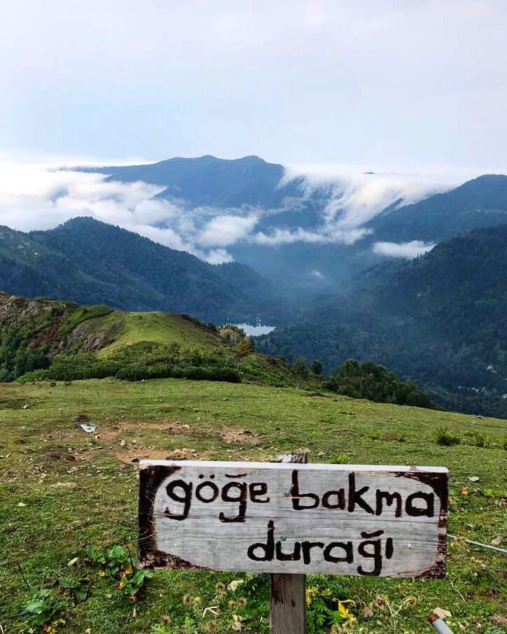 Sanatsal birkaç çalışma. 🌿