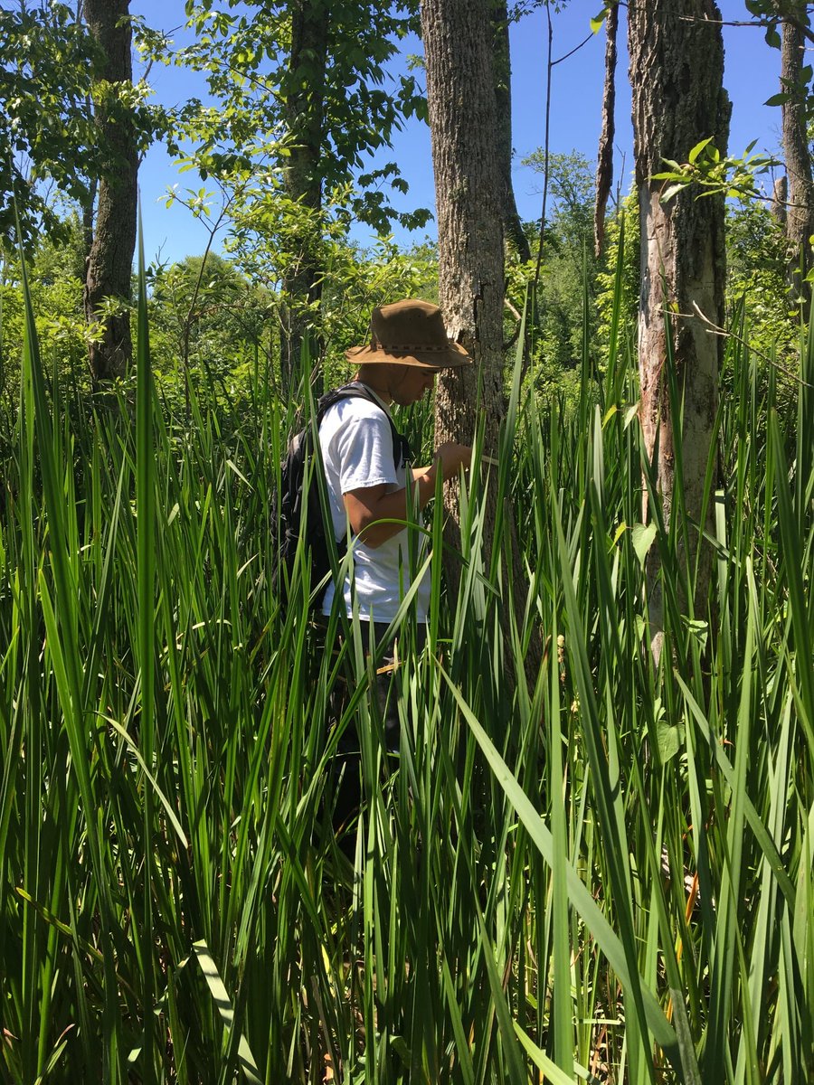 JugBayWetlandsSanct. tweet media