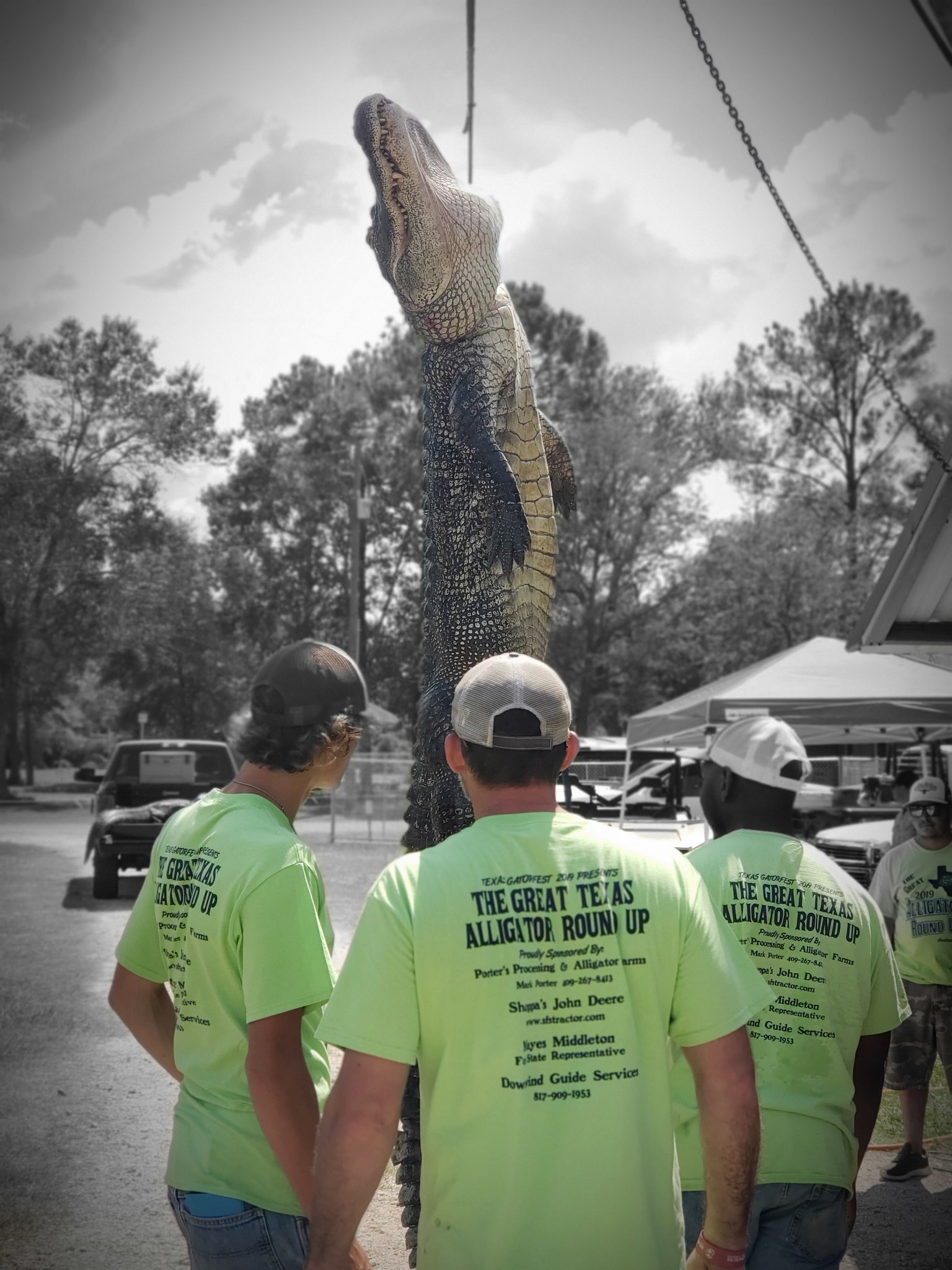 Texas GATORFEST on Twitter "2" shy of the record! Great Gator Harvest