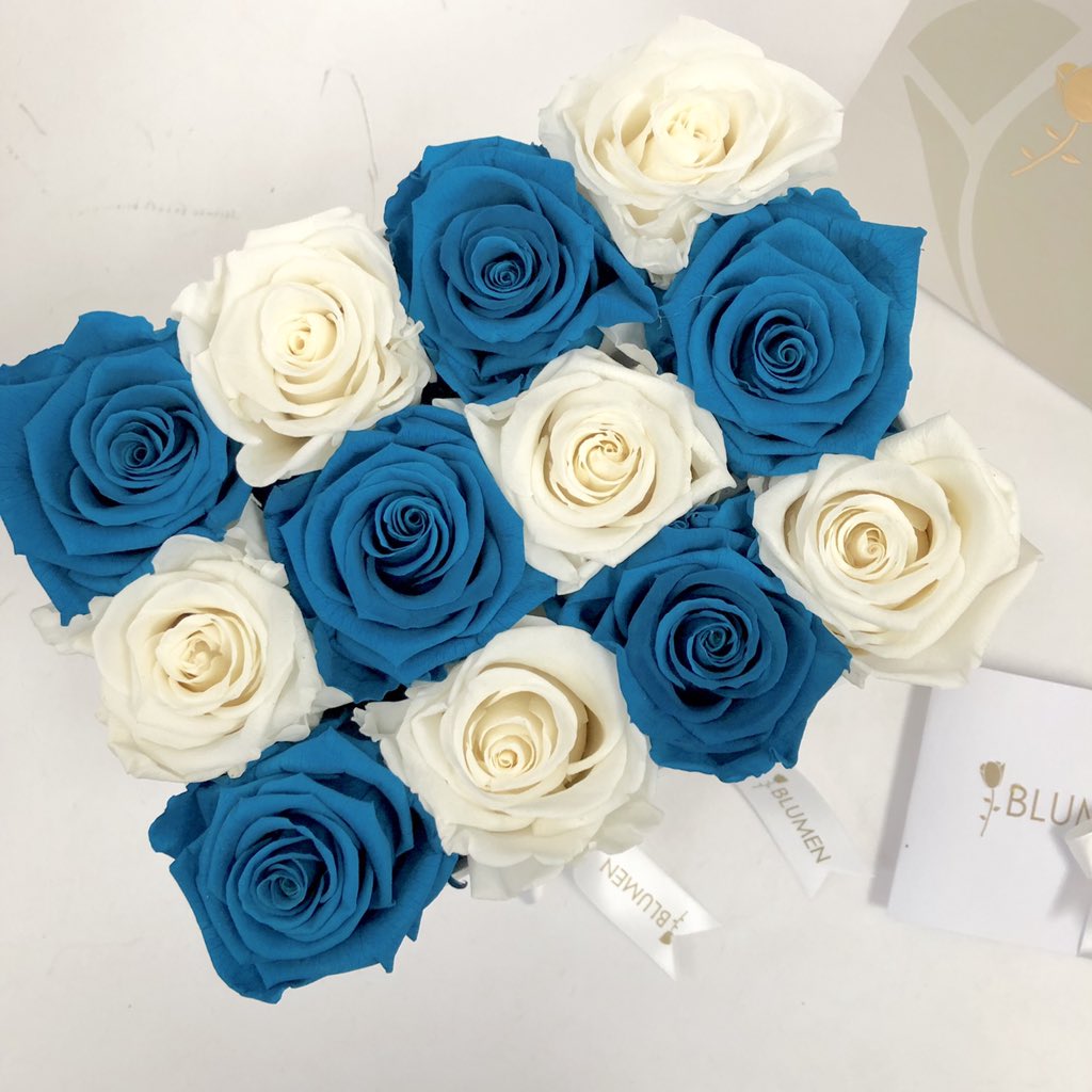 blumenecuador's tweet photo. Los colores Cobalt y Snow se llevan muy bien y la mejor manera de compartirlas es adornando un bello #BLUMENbox 💙 .
Contáctanos...
📱WhatsApp 0990061071 📱.
❗️Vive la Experiencia BLUMEN‼️.
#florespreservadas #rosas #roses #rosaspreservadas #detalles #regalos #hechoamano https://t.co/cigG7UdZE0