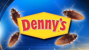 creates_art's tweet image. What do you do when you see a cockroach at Denny&apos;s? You Blog about it, of course! Duh! 
#Blog #Blogger #funnyblog #blogging #bloggingGals 
shellyslifecreatesart.blogspot.com/2019/09/i-saw-…