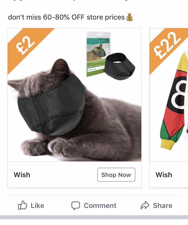 BloopsieD's tweet photo. So the internet has decided that a love of cats and kinks ends in... this? Wtf internet! 😂😂😂🤦🏼‍♀️ https://t.co/6gL4lDaQy6