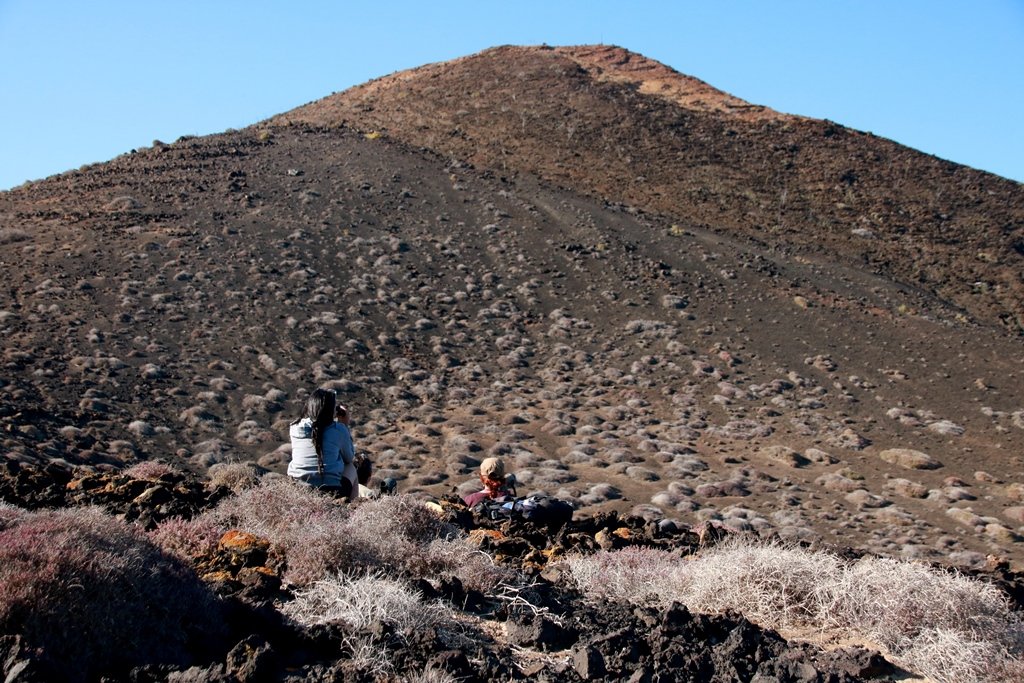 Until we went offline mid August we had basically been censusing the Eleonora´s Falcon population and identifying nest sites. We ended up finding no less than 114 accessible nest sites, making it a good year for the falcons on  #Alegranza.  #EF2019 [59/n]