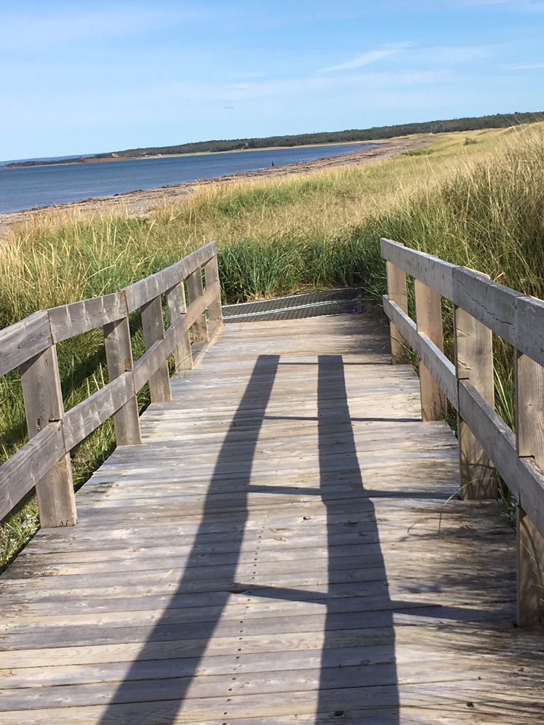 anne_camozzi's tweet photo. Thank you 🙏🏼to @AntigonishCo and @NSLandsForestry @gerrypost for the wonderful mobi mat at #pomquet #novascotia 
Got to the beach for the first time in years Wow!
#accessability https://t.co/Ute6sqR3wb