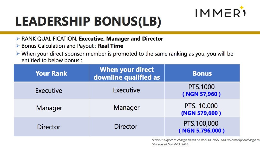 immeri compensation plan 