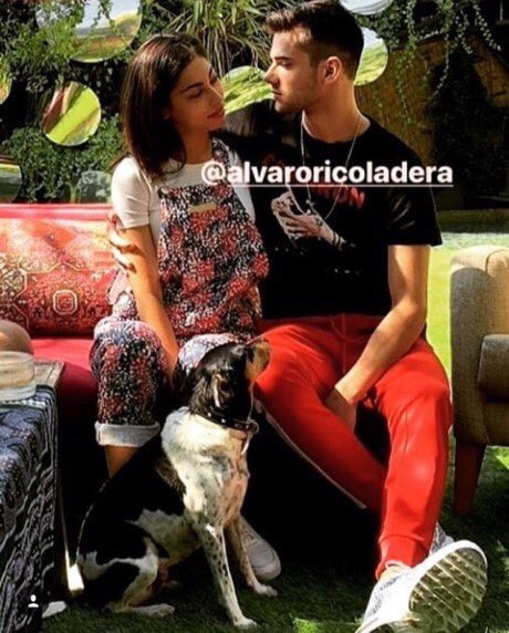 evie 🌸 (@guzmanuniers) on Twitter photo 