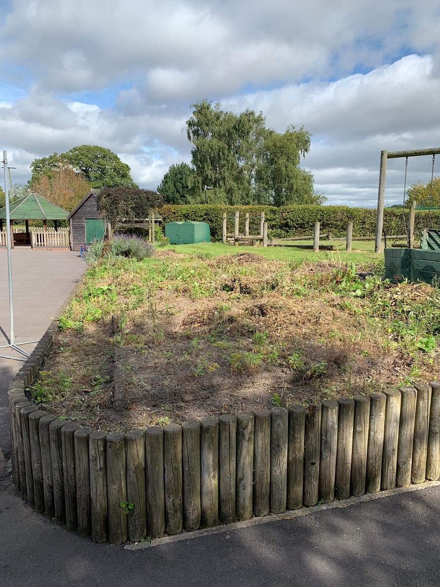 BrowncleeSch's tweet photo. Look at this amazing transformation! Thank you so much to the hard working team that helped clear the old overgrown garden to make it ready for the sensory lavender border! Your hard work is very much appreciated! #teamwork #fabparents https://t.co/wLMq2FrkFv