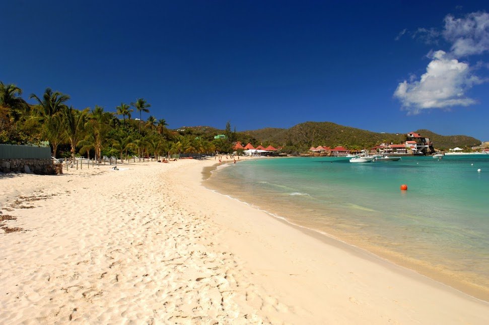 MotherOfTonyT's tweet photo. Paradise? Looks more like a giant litterbox to me. https://t.co/JI10D0qzVb