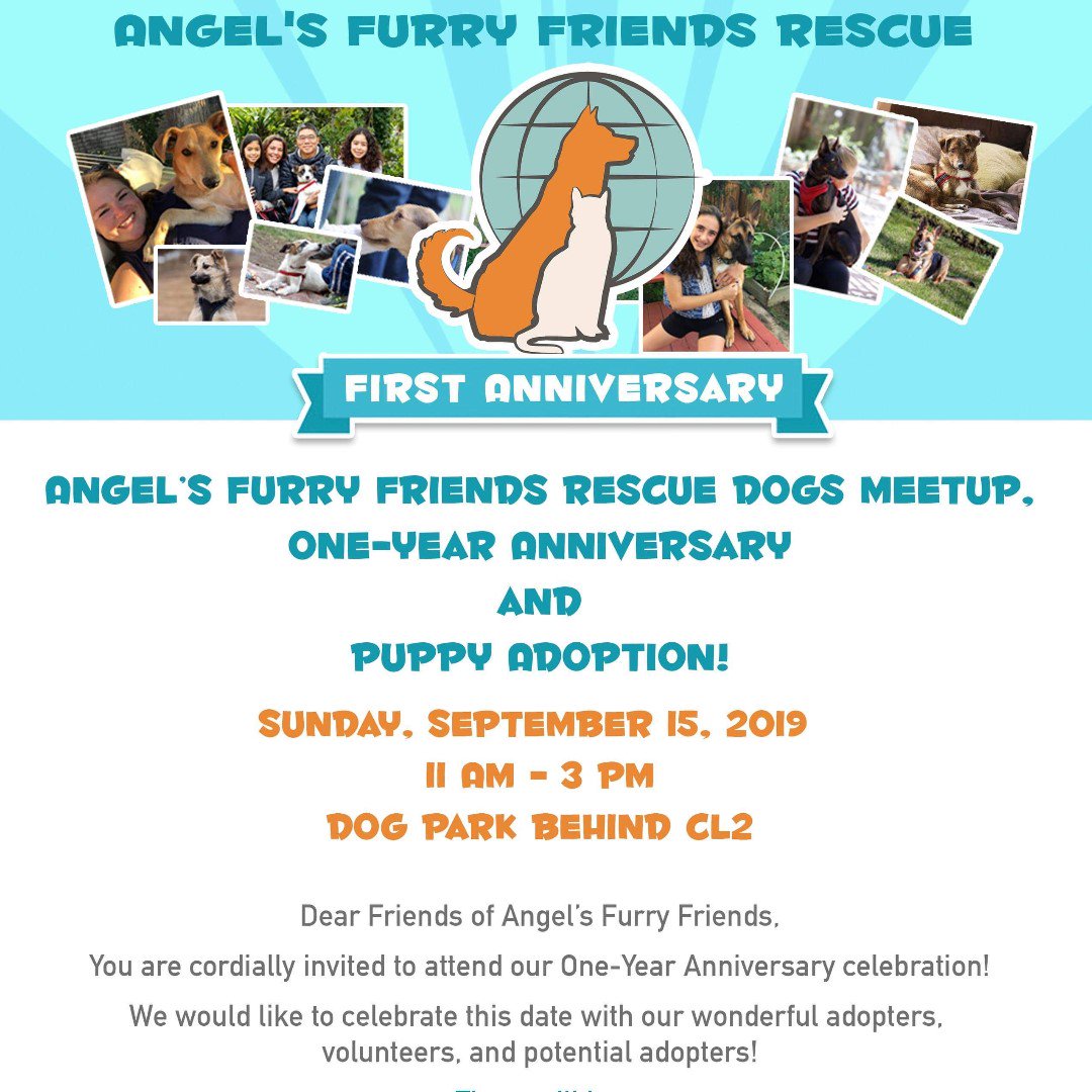 Good morning! If you're around #mountainviewcalifornia, come join us today at the #pet #adoption #fair put on by @AngelsFurryFri1. We are very excited to celebrate their 1-year #anniversary with them!