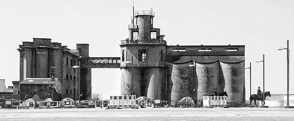 Vigoblog tweet media