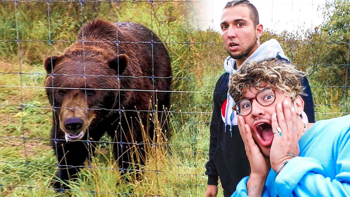 EltonCastee's tweet photo. RT if you’re excited for TFIL Alaska Series!

FACE TO FACE WITH GRIZZLY BEARS! 
w/ @ItsCoreyScherer @jccaylen @AndreaRussett @RickyPDillon 

Watch Episode 1 of 7! 👇🏼
https://t.co/hdUx7F7KkV https://t.co/po3EFtlPZl