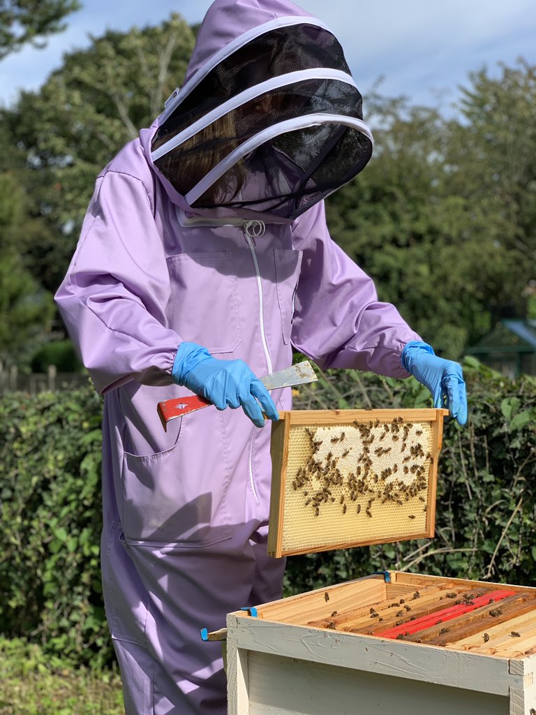 drumblebees's tweet photo. @BeekeepersHour Mine is lilac! https://t.co/p6oYd1byZH