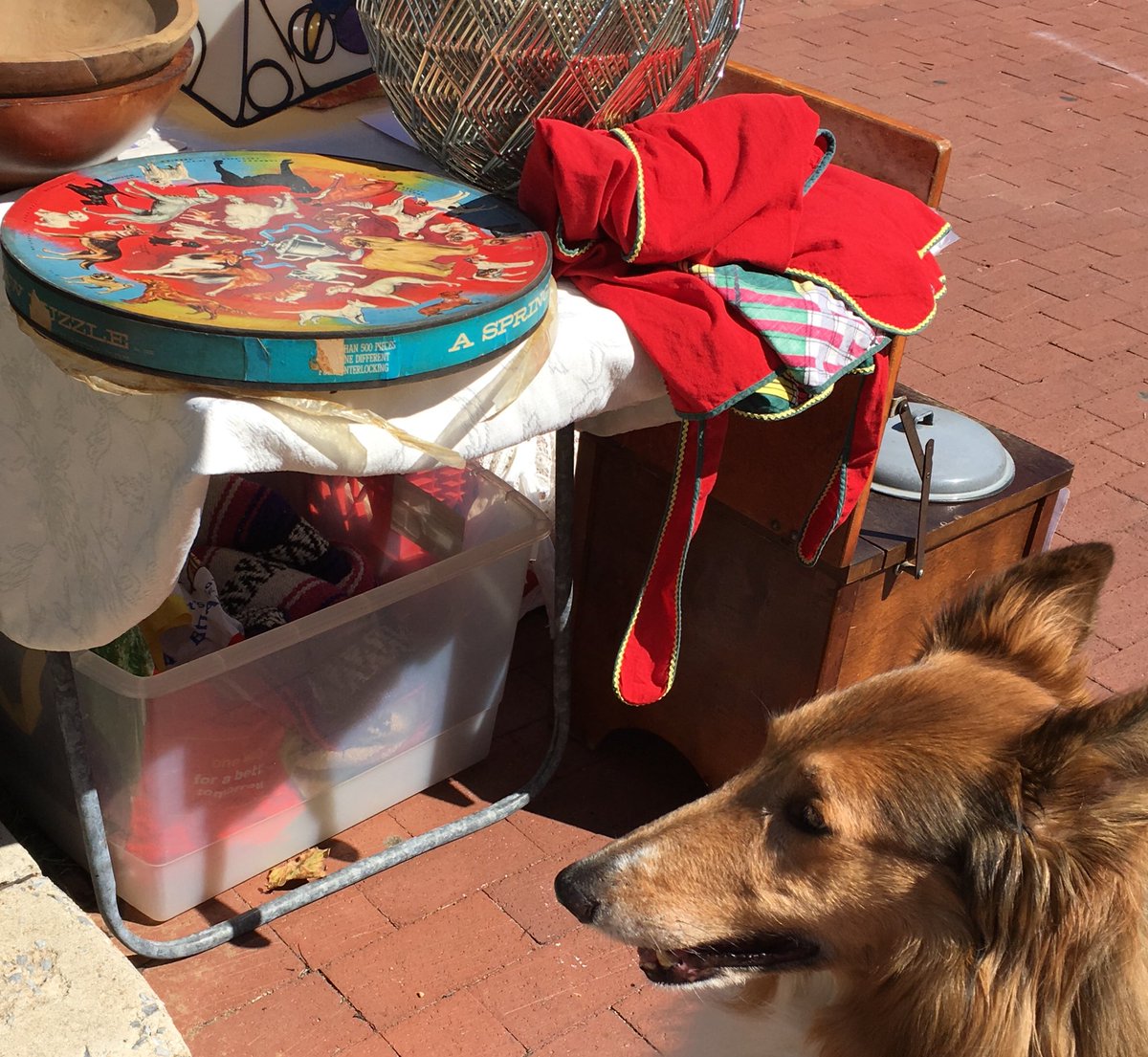 CollieCrusader's tweet photo. While on my #walkies πΎ through the #georgetownfleamarket I spied π΅οΈββοΈ a vintage πΆ dog-breed π§© jigsaw puzzle π§© with a #collie in the center!!! I hope the puzzle π§© is still there next week so mommy can buy it for me!
#georgetownflea #georgetowndc #roughcollie https://t.co/MFhe7CMcfJ