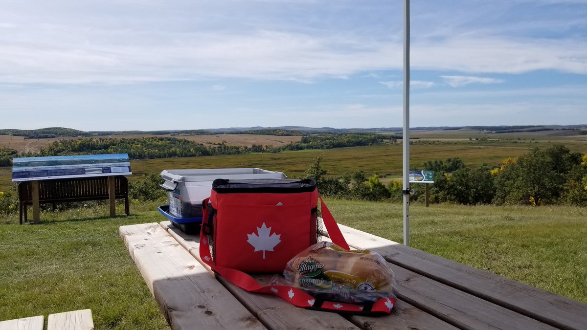 reidj29's tweet photo. Sometimes it's okay to work on a weekend! @MBOpenFarmDay @LaSalleRedboine #PellysLake #PicnicLunch https://t.co/2OttUbbmD8