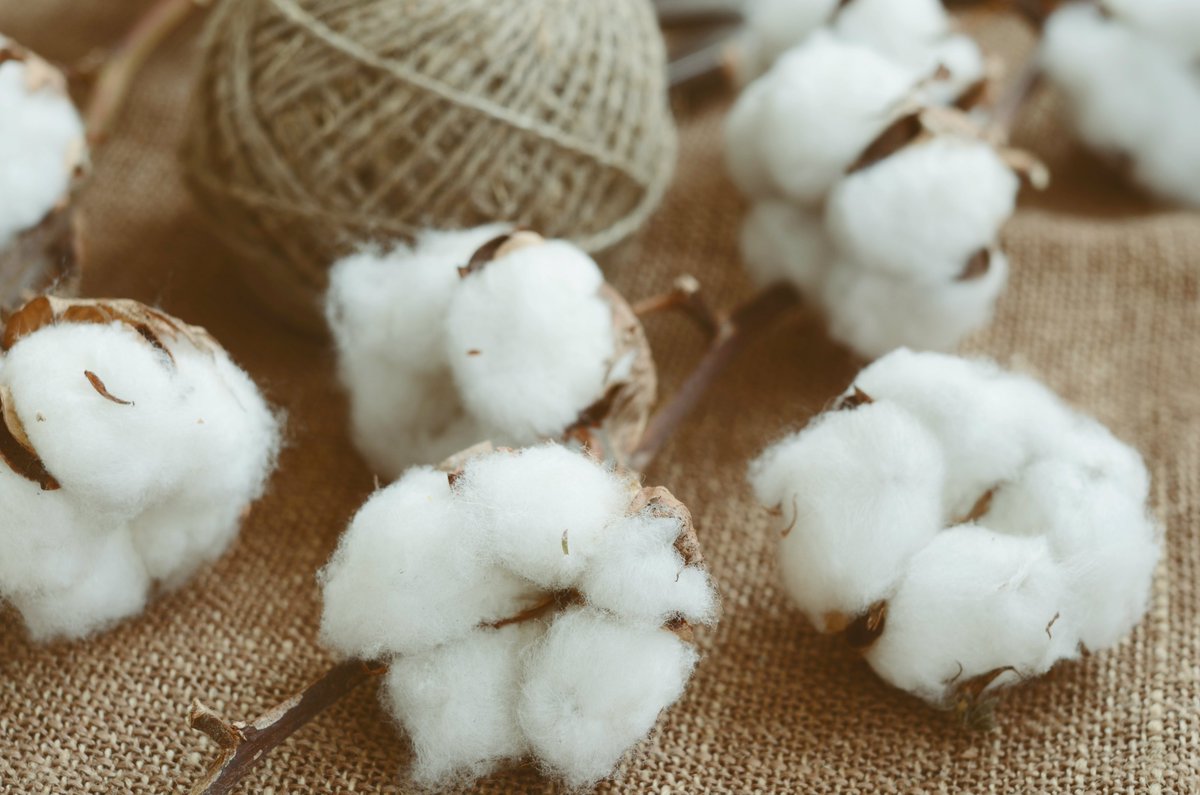 Creatingbags's tweet image. ¿Has visitado nuestra tienda online? Tenemos infinidad de envases textiles en algodón y yute para tu negocio. ow.ly/3KOs50w3Xwq