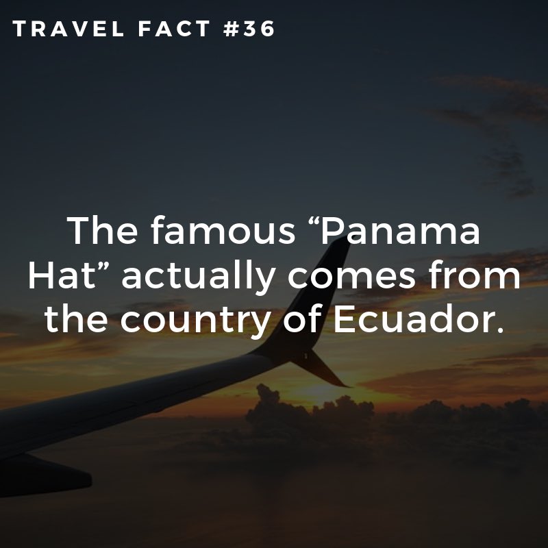 FunctionalTrav1's tweet image. causebthe world wasnt confusing enough...
functionaltraveller.com