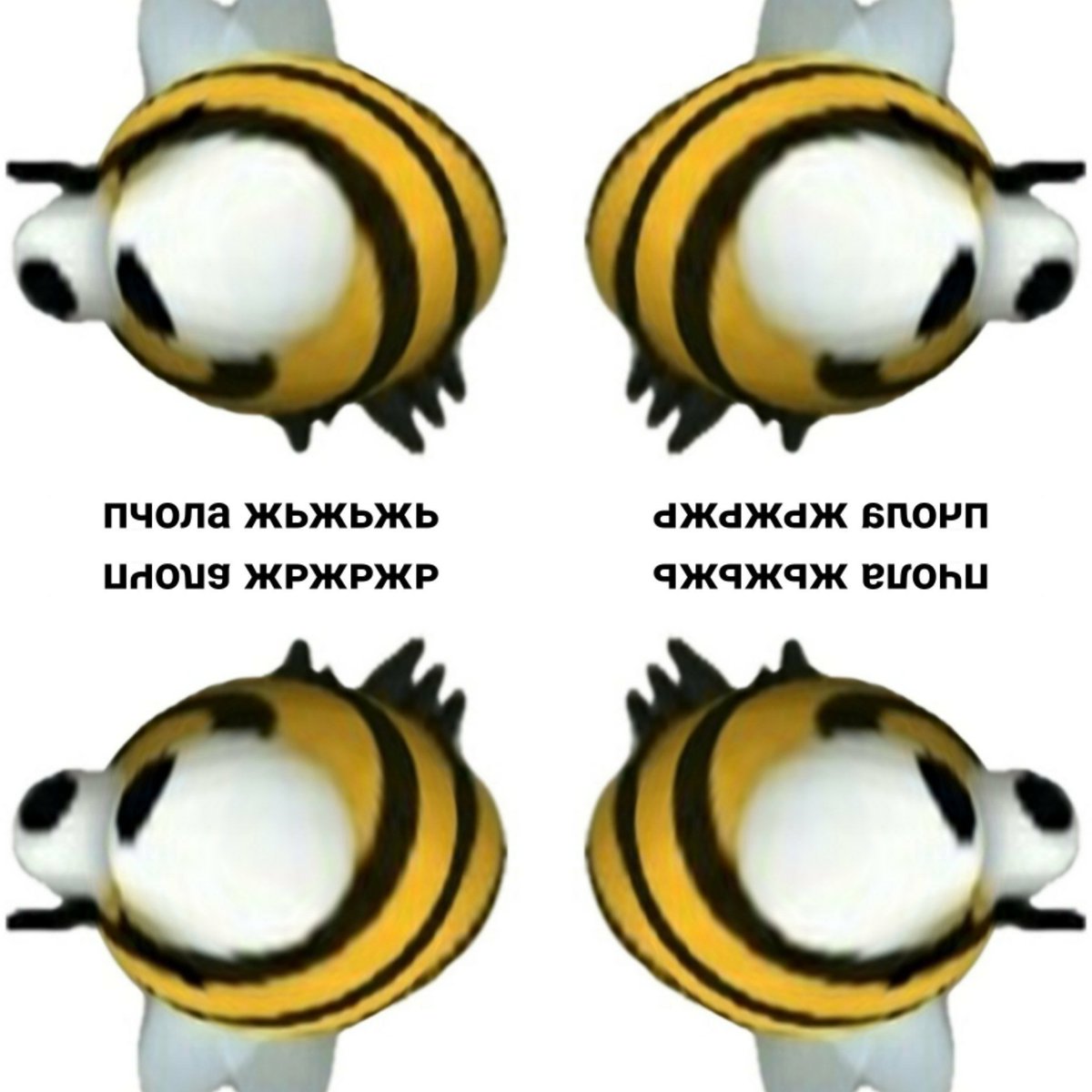 Пчел Мем
