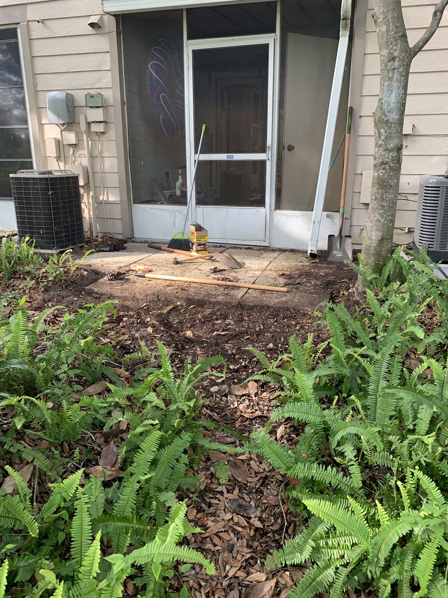 JosephPinzon11's tweet image. 