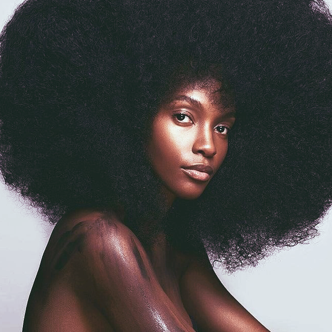 trymyfab's tweet photo. Happy World Afro Day Fam! 
@maggiesarai1

#trymyfab #afro #blacktwitter #fro https://t.co/u2WvwYvYiE