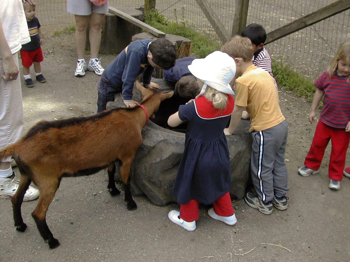 Hidden Villa tweet media