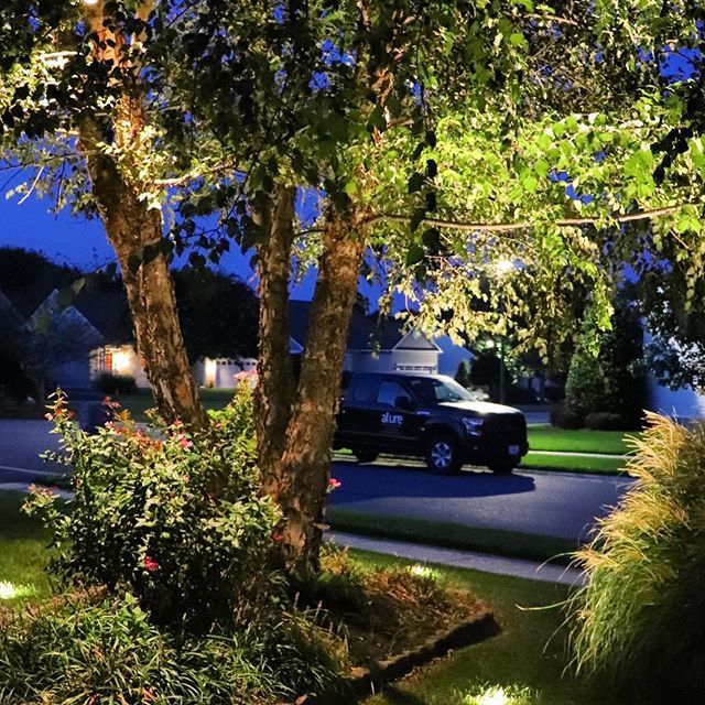 Utilizing up and down lights created this beautiful scene.  Bonus marketing with my vehicle. #rehobothbeach #rehobothbeachde #lewesbeach #bethanybeach #fenwickisland #delaware #wilmingtondelaware #showfieldde #ownthenight #kichlerlandscapelighting ift.tt/302I9QK