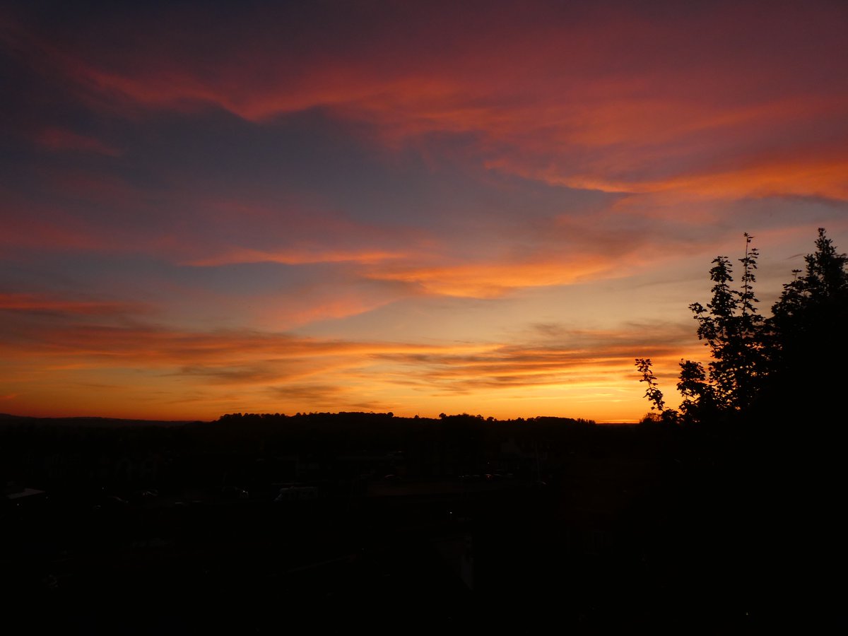 Simon Houstoun tweet media