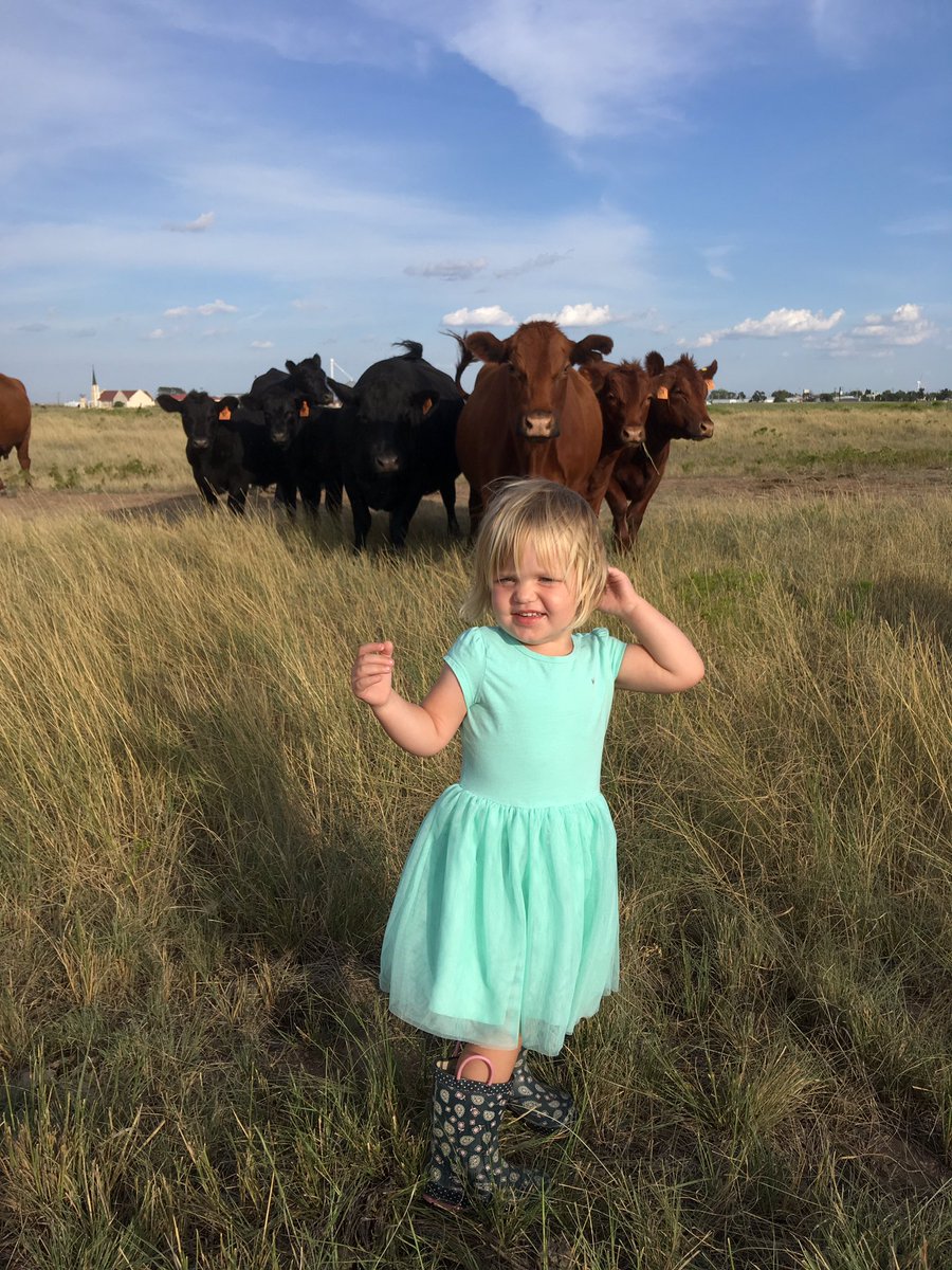 TiffDowell's tweet photo. Best dressed cowgirl around! #cowgirl #farmkid #ranchkid #cowkid https://t.co/IiHuZrSK4Q