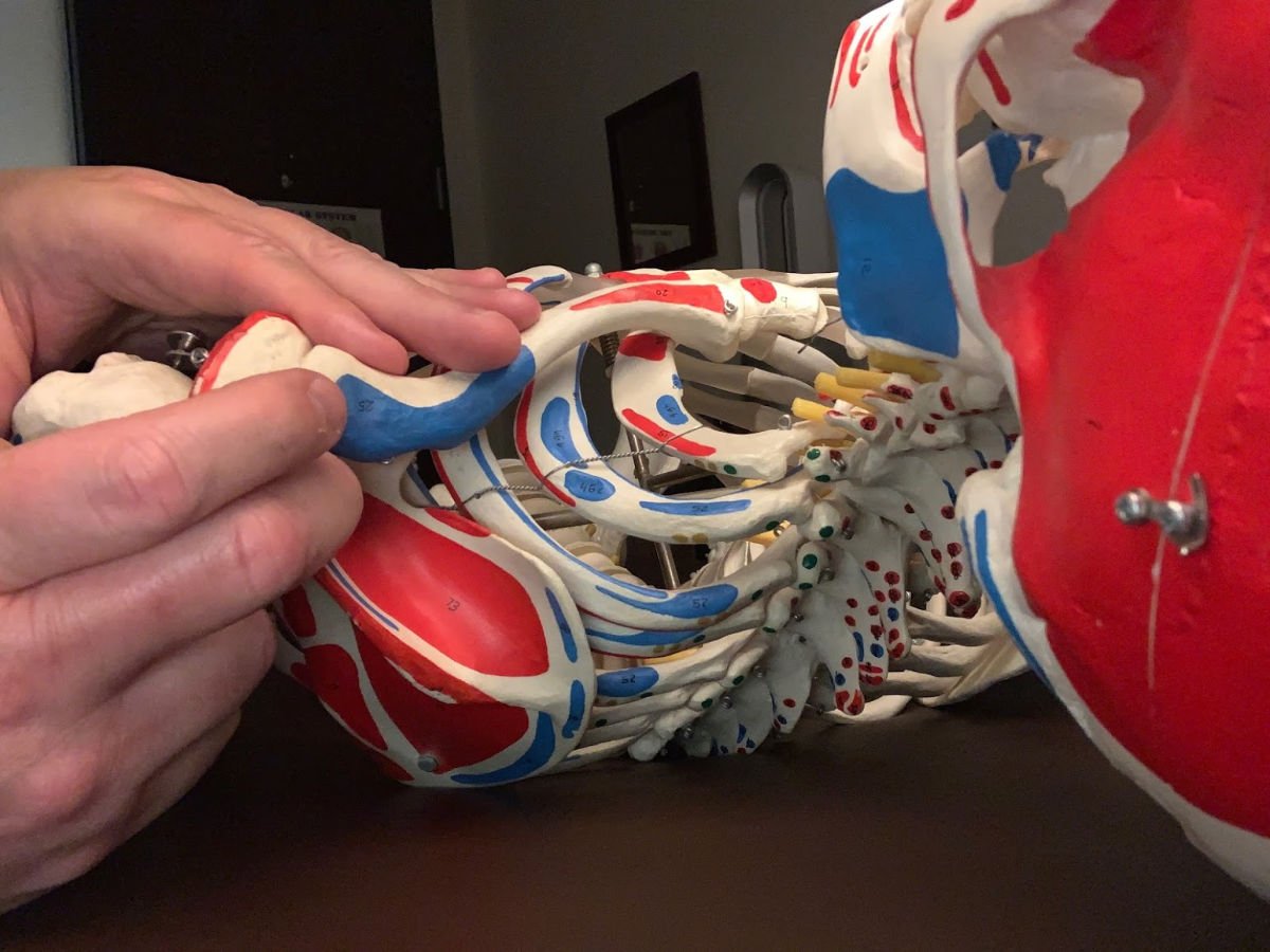 Engaging Muscles Therapy My Answer To What Causes Muscle Knots In The Neck T Co Jw9lbexrwf Massagetherapy Massage Muscleknots Muscles T Co Lfoyyin00s Twitter