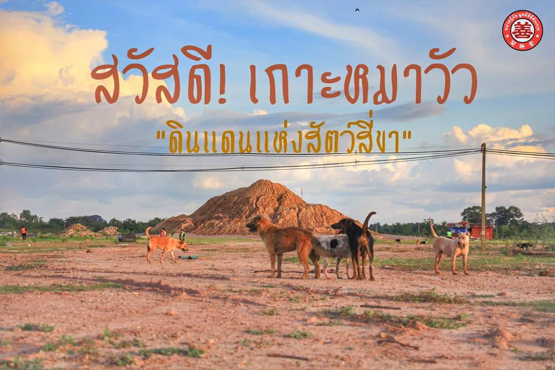 วิตามินนดย✨ tweet media