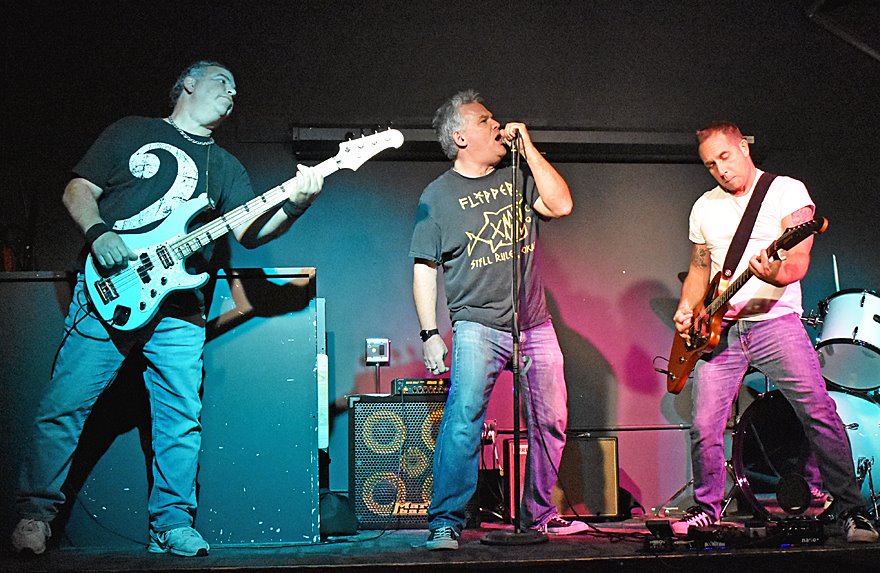 PunkBlowfish tweet media