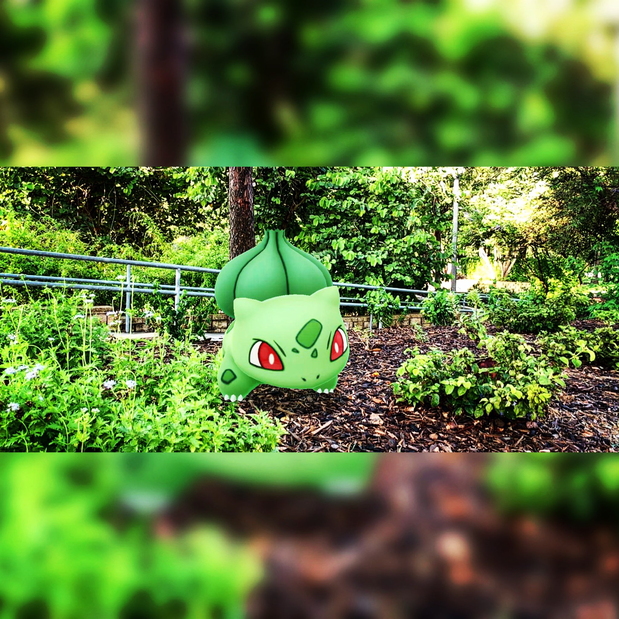 Niantic leaked a Shiny Bulbasaur for Worldwide Bloom Grass event