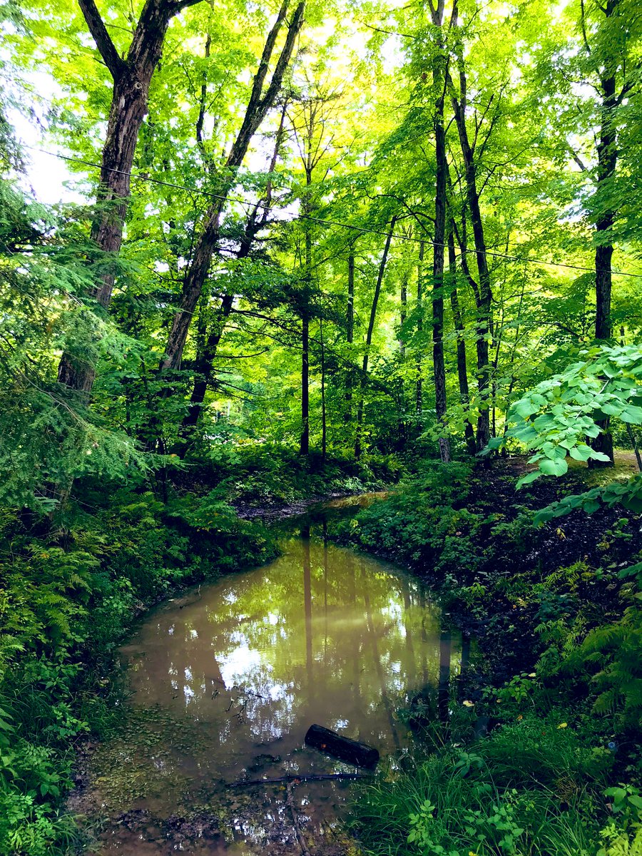 Heidi__Matthews's tweet image. Home after an intense weekend @OsgoodeNews Anishinaabe Law Camp generously hosted by Rama First Nation. My head is filled with stories, my heart with spirit, and my hair smells of campfire. Very grateful to all our teachers + @jefferyghewitt @estair @MsLoriMish et al #miigwetch